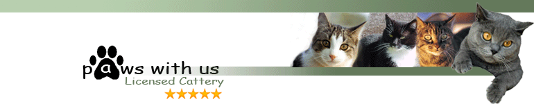 Catteries in Liverpool - Paws with us is a Licensed Cattery in Liverpool